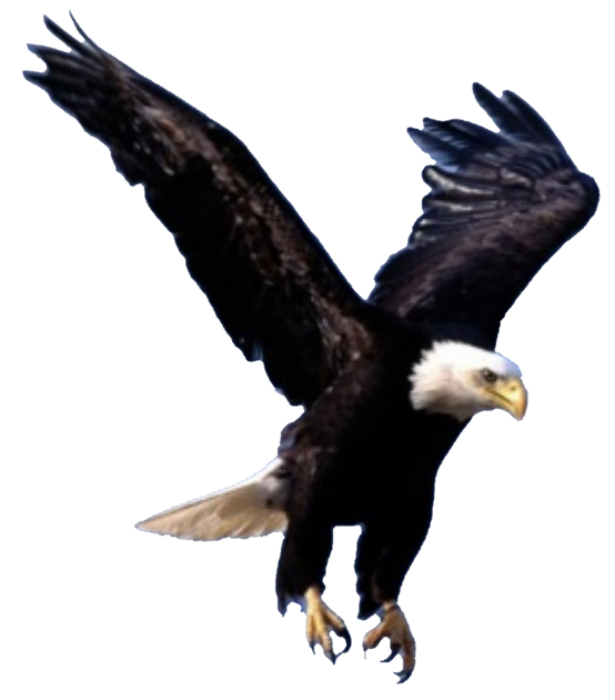 Ealing Borough Cricket